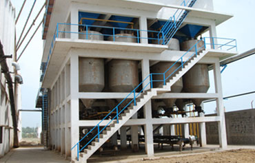 par boiling plants